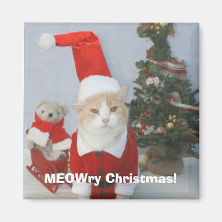 Imán ¡MEOWry Navidades!