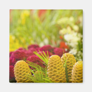 Imán Mercado semanal de frutas y verduras del viernes.