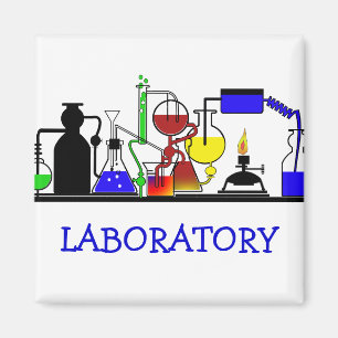IMÁN MERCANCÍAS DEL LABORATORIO - DISPOSICIÓN DE LA