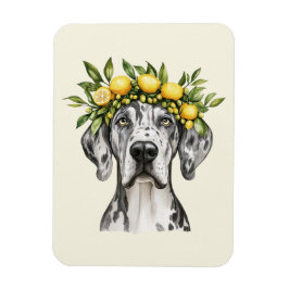 Imán Merle Great Dane Dog Lemon Crown