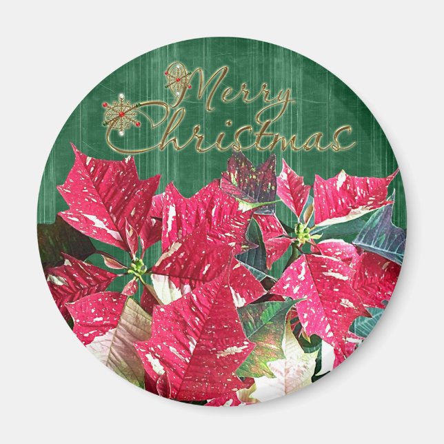 Imán Merry Christmas Poinsettia Magnet (Frente)