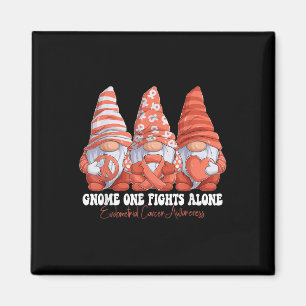 Imán Mes de Concienciación sobre el Cáncer Endometrial 