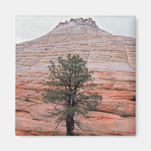 Imán Mesa del tablero de damas