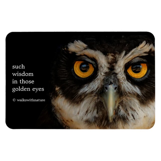 Imán Mesmerizando los ojos dorados de una lechuza espec (Horizontal)