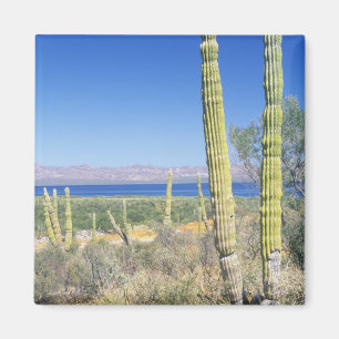 Imán México, Baja California Sur, Mulege, Bahia