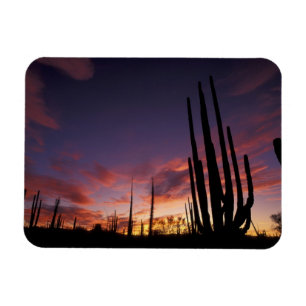 Imán México, Baja del Norte, Catavina Desierto Nacional