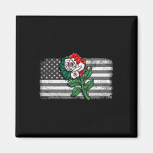 Imán México Bandera Estadounidense Bandera Mexicana Ros