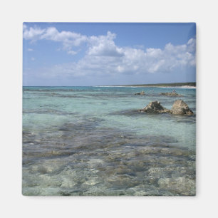 Imán México, Cozumel, Punta Morena, la costa este 2