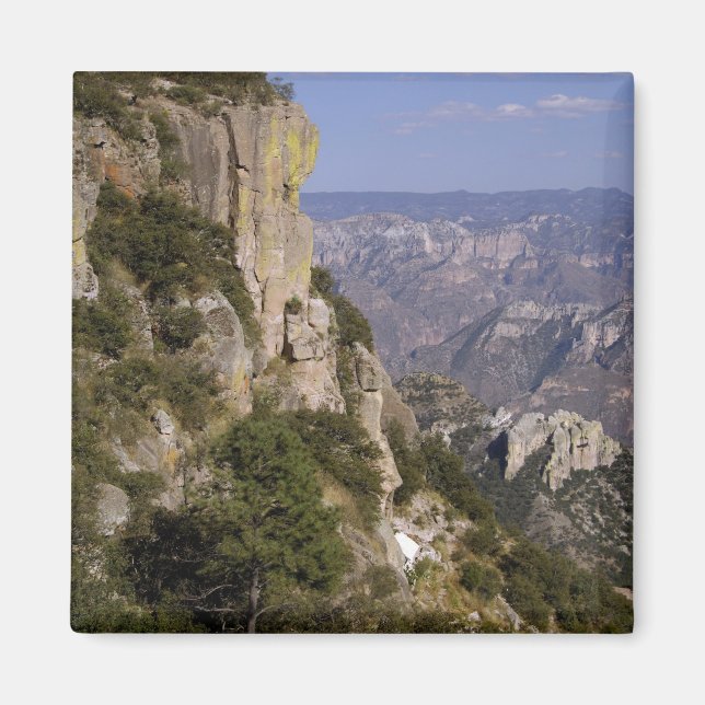Imán México, Estado de Chihuahua, Copper Canyon. ESTA 2 (Frente)