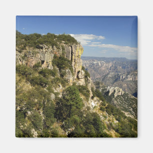 Imán México, Estado de Chihuahua, Copper Canyon. ESTO