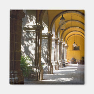 Imán México, estado de Guanajuato, San Miguel de Allen