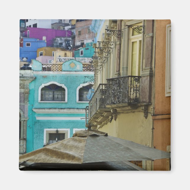 Imán México, Guanajuato. Variedad densamente empacada d (Frente)