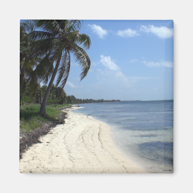 Imán México Magnet (Frente)