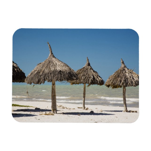 Imán México, Península de Yucatán, Progreso. Paja (Horizontal)