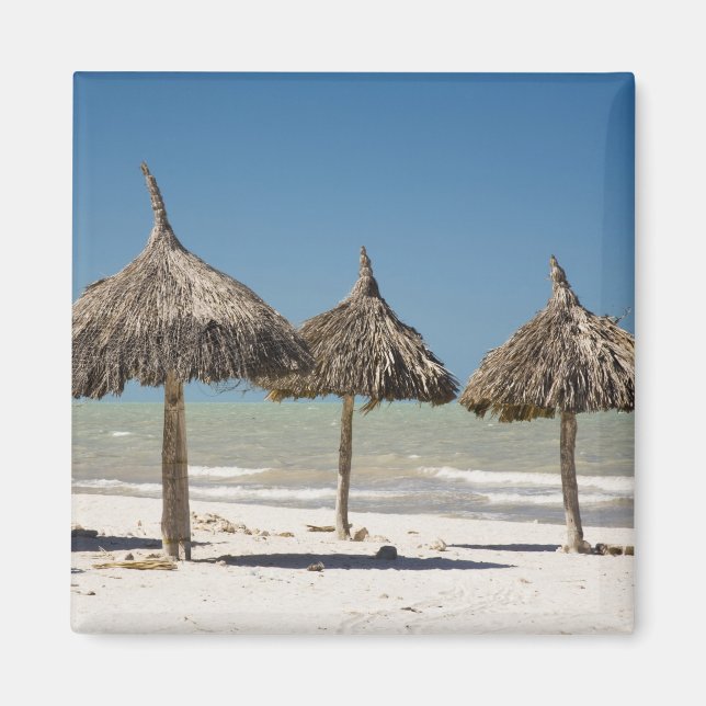Imán México, Península de Yucatán, Progreso. Techo de p (Frente)