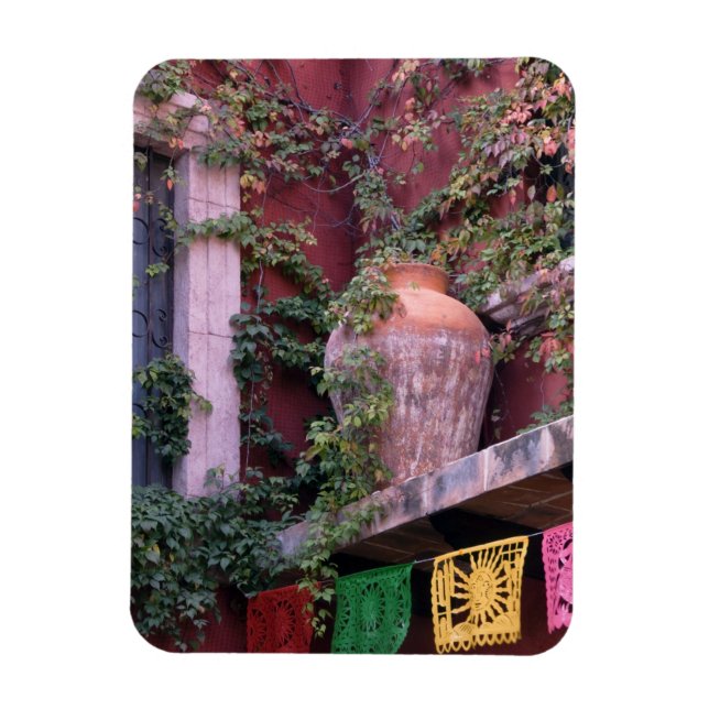 Imán México, San Miguel de Allende, Ivy, olla de arcill (Vertical)