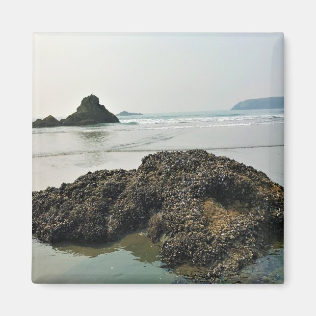 Imán Meyers Beach North, Gold Beach, Oregon (Frente)