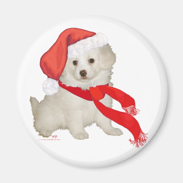 Imán Mezcla de cachorros de Santa Elena / Bichon (Frente)