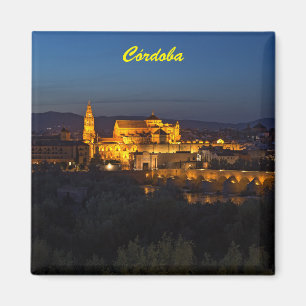 Imán Mezquita de Córdoba