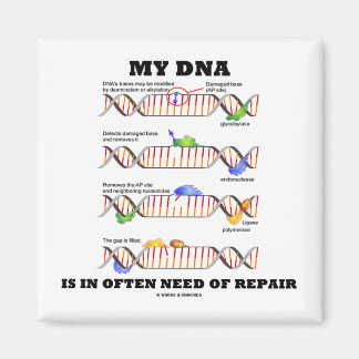 Imán Mi ADN A Menudo Necesita Reparación (Humor De ADN)