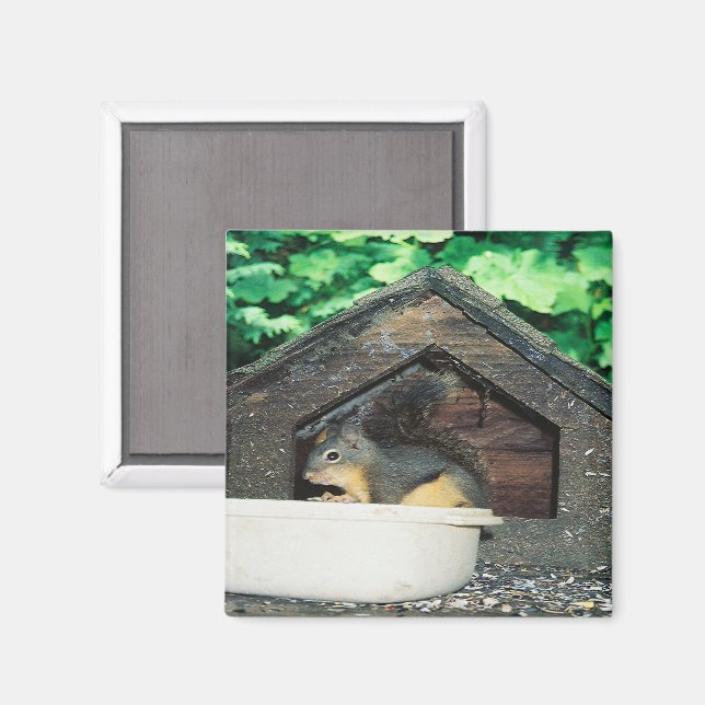 Imán Mi amigo... (Anverso/Reverso)