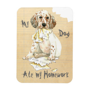 Imán Mi asiento de inglés comió mi hogar