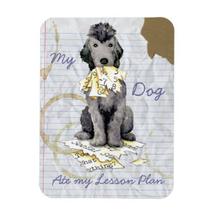 Imán Mi Bedlington Terrier Ate Mi Lección Plan Magnet
