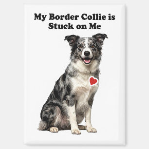 Imán Mi Border Collie Merle Azul Se Me Pegó
