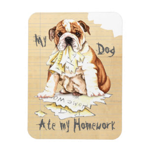 Imán Mi Bulldog comió mi hogar