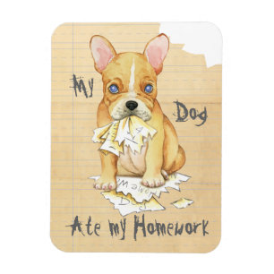 Imán Mi Bulldog francés comió mi hogar