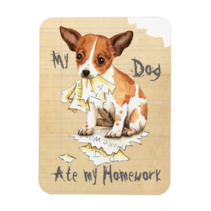 Imán Mi Chihuahua se comió mi hogar