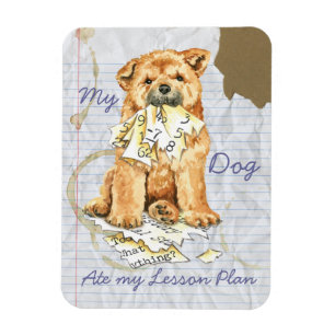Imán Mi Chow Chow Ate Mi Plan De Lecciones