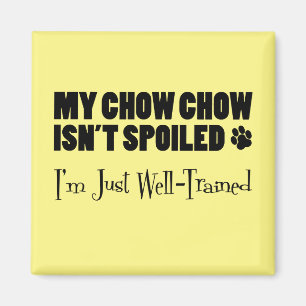 Imán Mi Chow Chow no está asustado, estoy bien entrenad