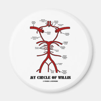 Imán Mi Círculo De Willis (Humor Anatómico De Arterias)