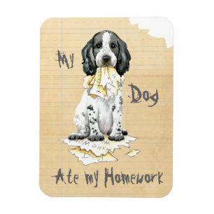 Imán Mi Cocker Inglés Ate My Homework Magnet
