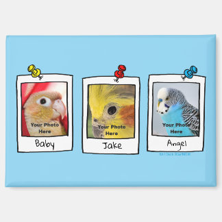 Imán Mi Colage de Fotos Retro de Mis Pájaros Mascota