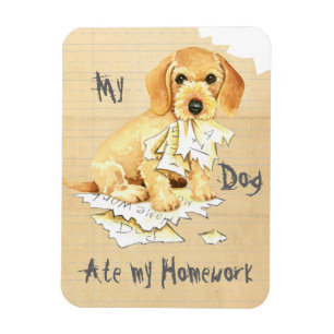 Imán Mi Dachshund Cabecera De Cabina Se Comía Mi Casa