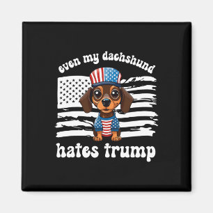 Imán Mi Dachshund odia el voto de Trump