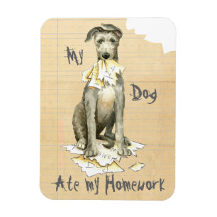 Imán Mi Deerhound escocés comió mi hogar