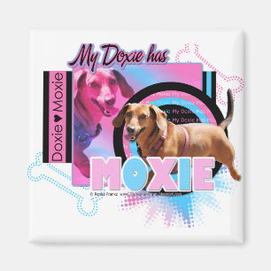 Imán Mi Doxie tiene Moxie