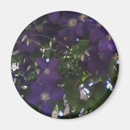 Imán Mi foto de teléfono celular de los clematis de mam