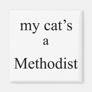 Imán Mi gato es metodista