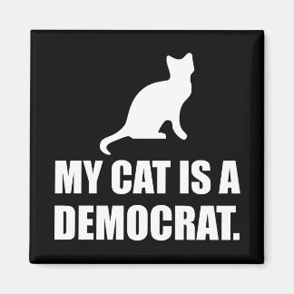 Imán Mi Gato Es Un Político Divertido Demócrata