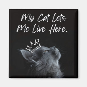 Imán Mi gato me deja vivir aquí