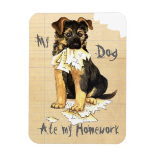 Imán Mi GSD se comió mi hogar