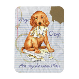 Imán Mi Irish Setter comió mi plan de lección