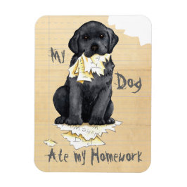 Imán Mi Laboratorio Negro Ató Mi Casa