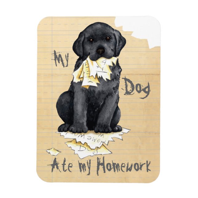 Imán Mi Laboratorio Negro Ató Mi Casa (Vertical)