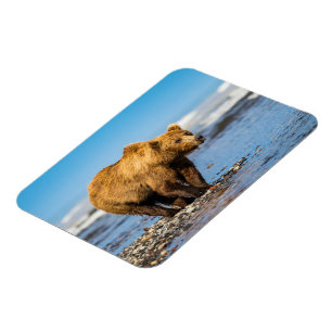 Imán Mi mamá oso viendo a sus dos hijos