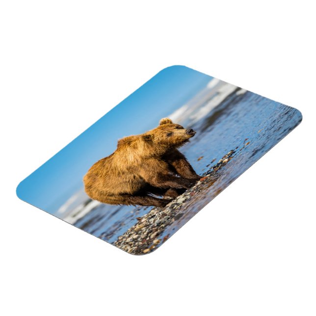 Imán Mi mamá oso viendo a sus dos hijos (Lado Izquierdo)